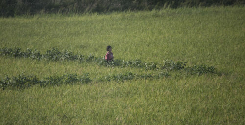 North Korea cereal imports partially recovered in March: data