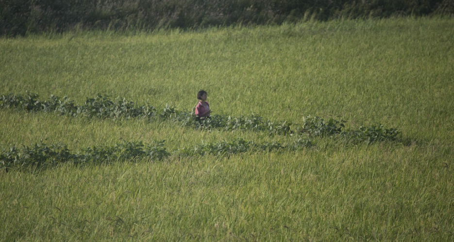 North Korea cereal imports partially recovered in March: data