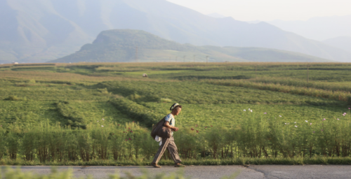 What the World Food Programme doesn’t know about North Korean agriculture