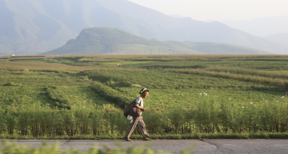 What the World Food Programme doesn’t know about North Korean agriculture