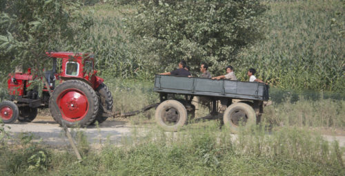 Brazil sent $2 million worth of corn to North Korea in October, November: data