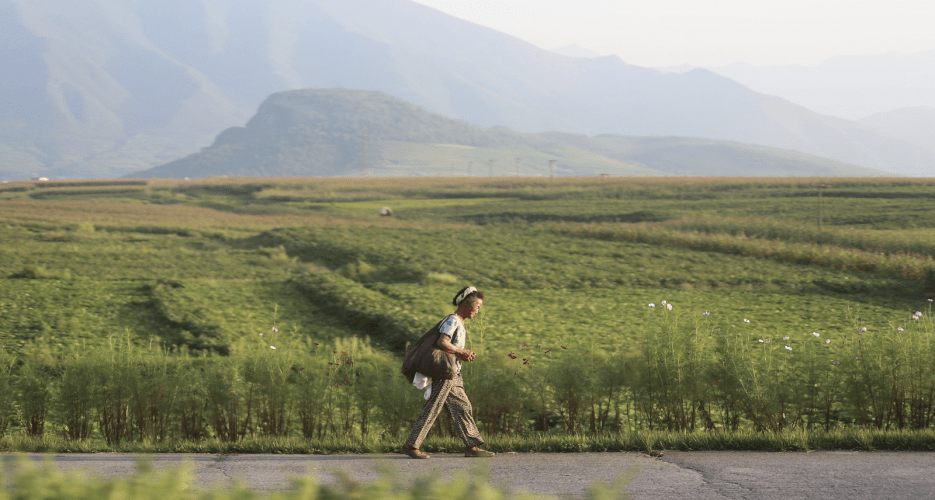 Chinese grain shipments to North Korea rose in December, data shows