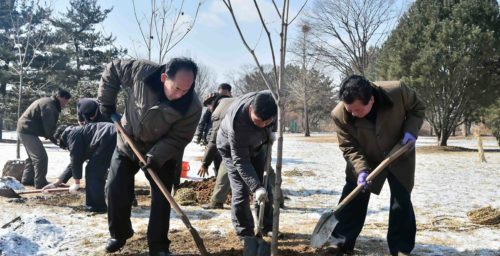 North Korea’s Tree-planting Day highlights nationwide nursery projects