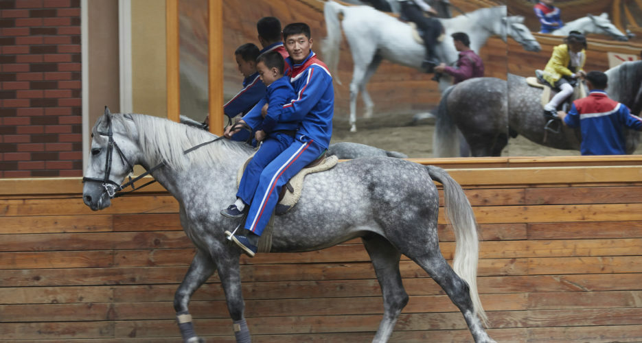 North Korea imported more Russian horses amid new work on elite equestrian parks