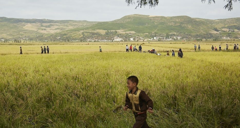 U.S. NGO wins sanctions exemption for North Korea agricultural projects