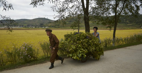 Russian exports to North Korea soared in April, new data shows