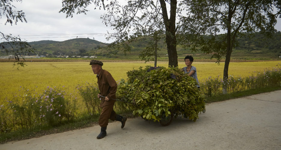 Russian exports to North Korea soared in April, new data shows