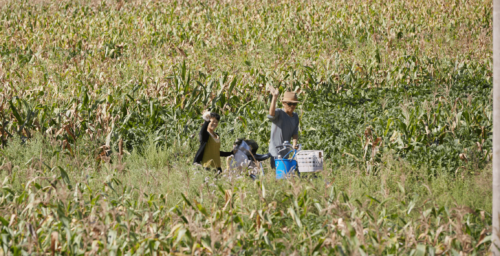 Finnish NGO wins sanctions exemptions to fight food insecurity in North Korea