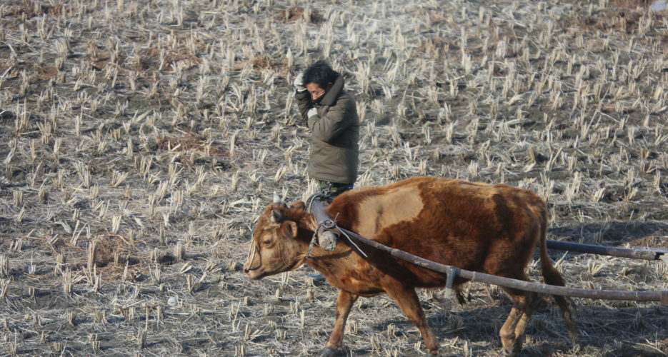 North Korea is giving more power to farmers, but not without helping the elite