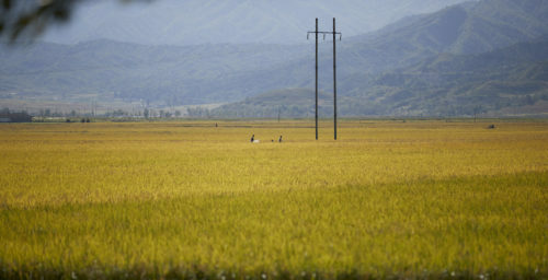 Big jump in Chinese exports to North Korea led by fertilizer, food