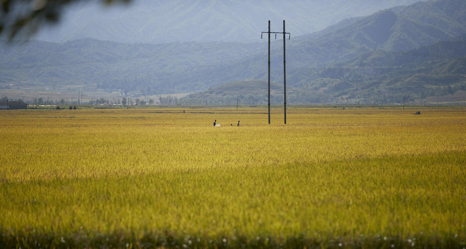 Big jump in Chinese exports to North Korea led by fertilizer, food