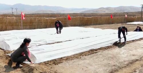 Increased activity at Pyongyang airport likely due to farming, not missiles