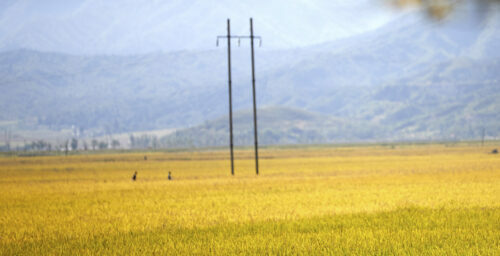 North Korea’s fertilizer imports remain unusually low ahead of planting seasons