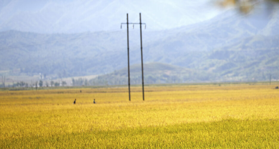 North Korea’s fertilizer imports remain unusually low ahead of planting seasons