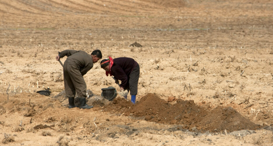 North Korea careens from floods to drought, straining an already fragile system