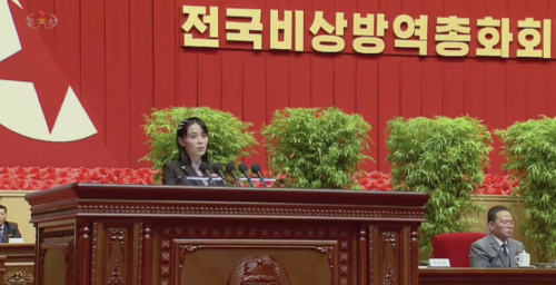 FULL TEXT: Kim Yo Jong’s obscenity-laced denunciation of South Korean ‘enemies’