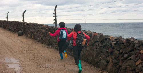 North Korea expands coastal fencing in likely bid to stop defections by sea