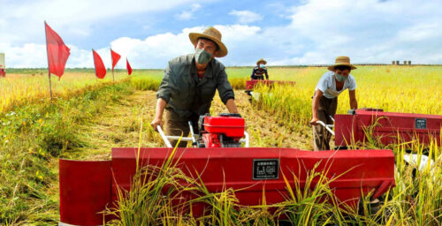 North Korea’s crops saw on-year improvement in 2023, satellite data shows