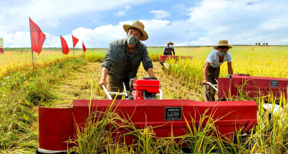 North Korea’s crops saw on-year improvement in 2023, satellite data shows