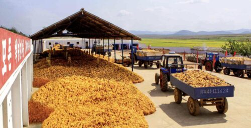 What North Korea’s inflated grain prices reveal about persistent food insecurity