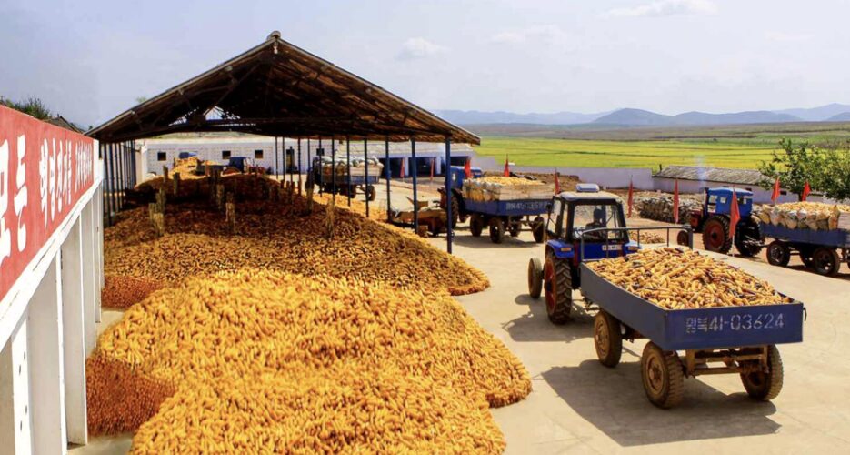 What North Korea’s inflated grain prices reveal about persistent food insecurity