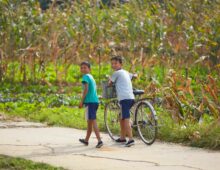 Crop data suggests North Korea enjoyed strong harvest despite summer floods