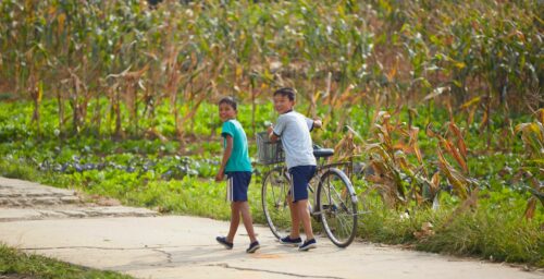 Crop data suggests North Korea enjoyed strong harvest despite summer floods