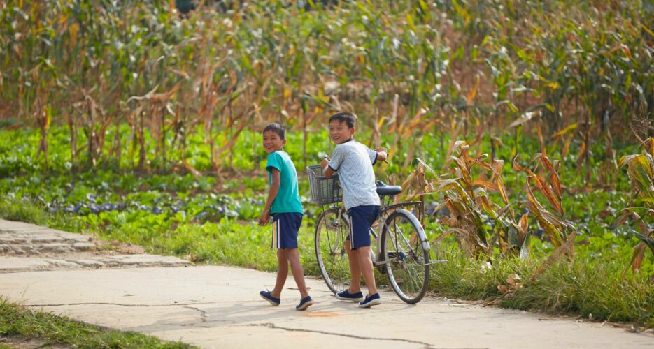 Crop data suggests North Korea enjoyed strong harvest despite summer floods