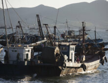 North Korean fishing vessels flock to Russian port with ties to New Zealand