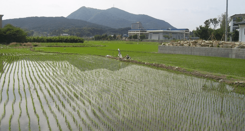 South Korean government data shows notable decline in rural relocation in 2022